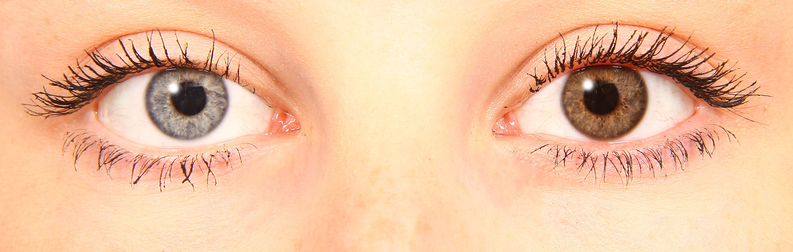 starlens apricot starlens apricot