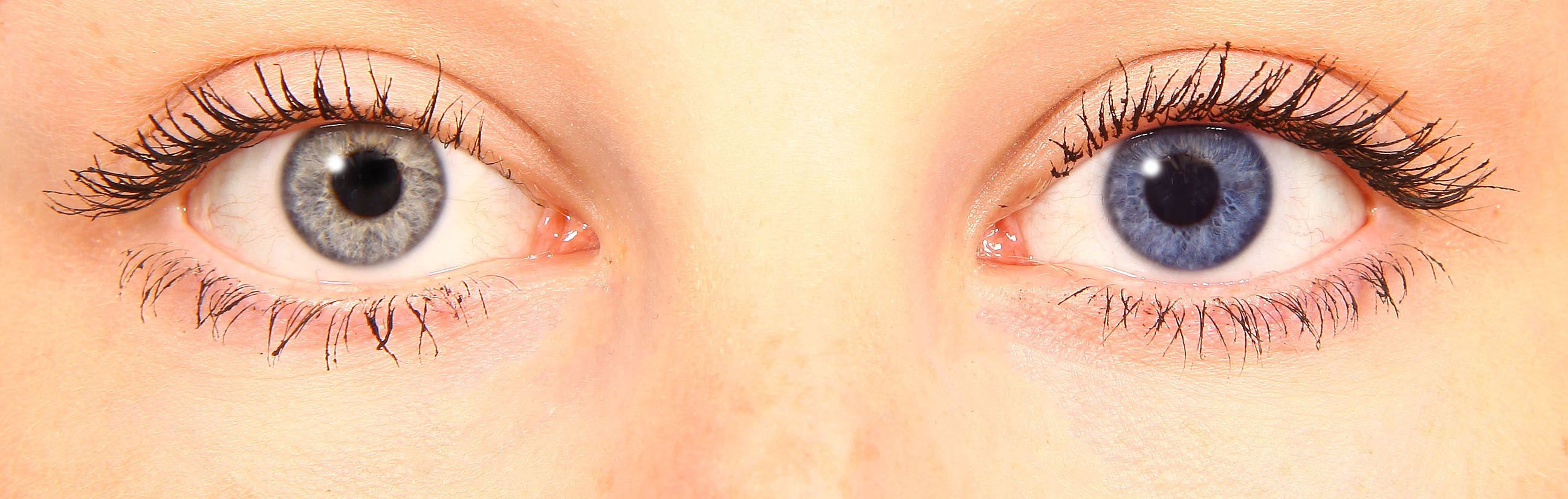 starlens blue starlens blue