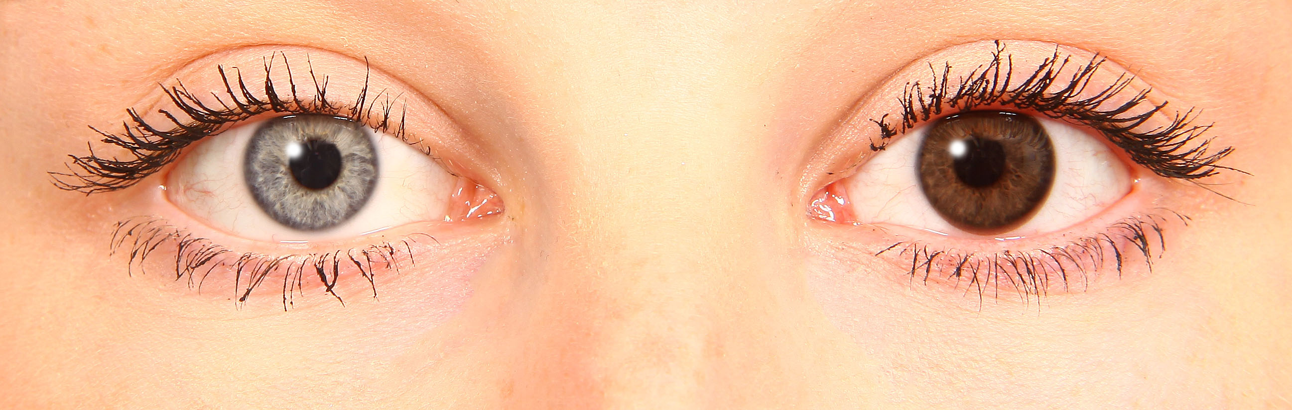 starlens brown starlens brown