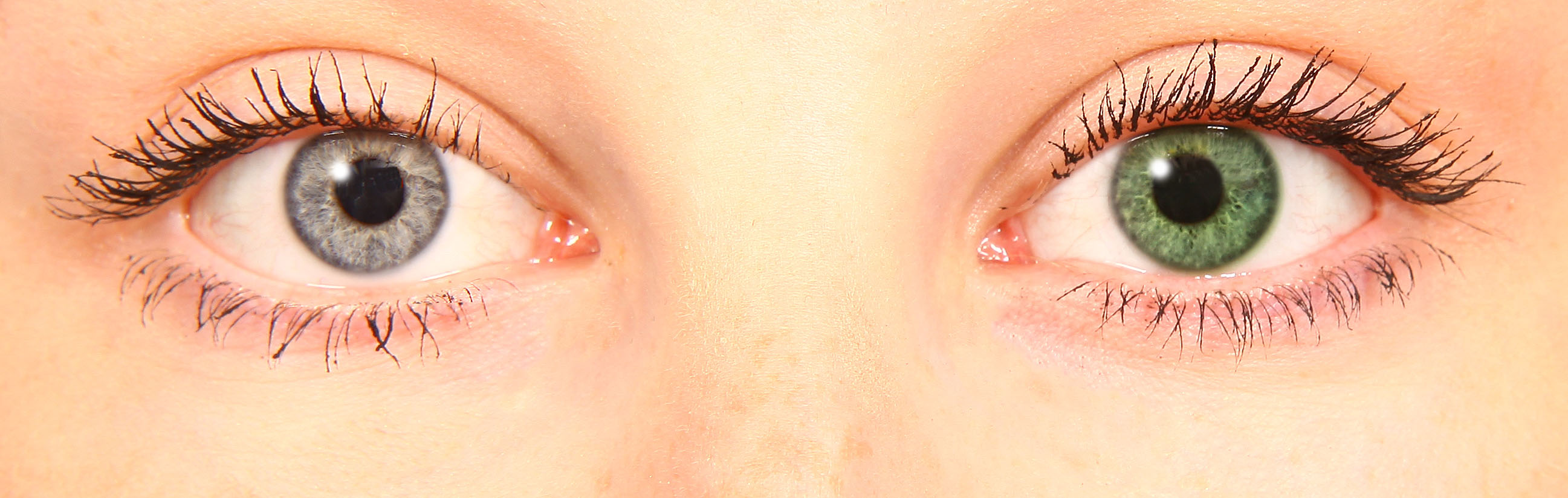 starlens green starlens green