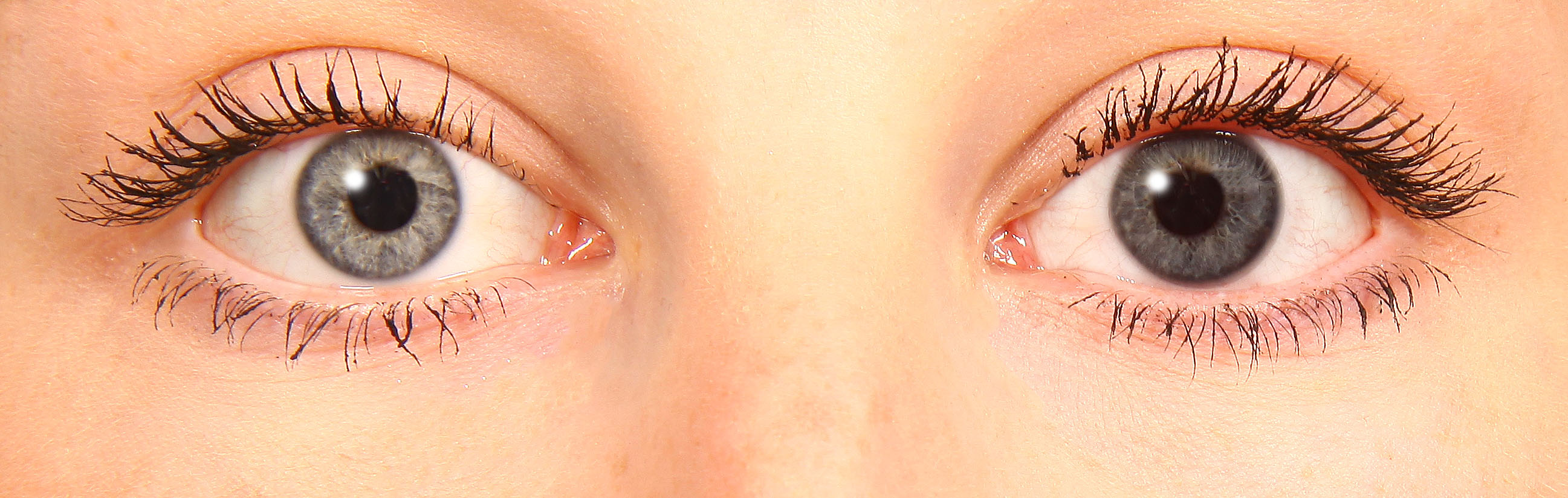 starlens grey starlens grey