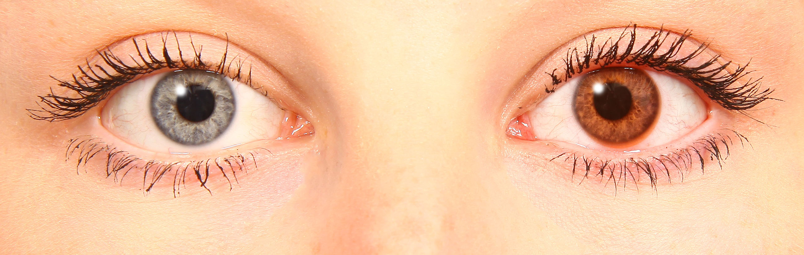starlens mandarine starlens mandarine