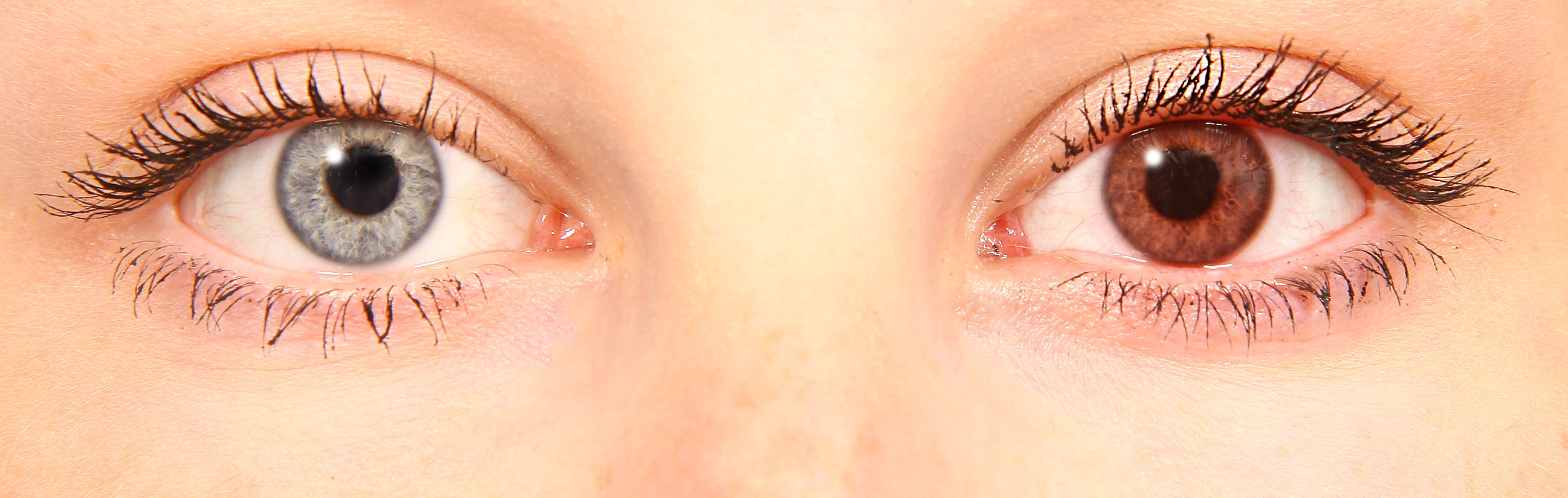 starlens sherry starlens sherry