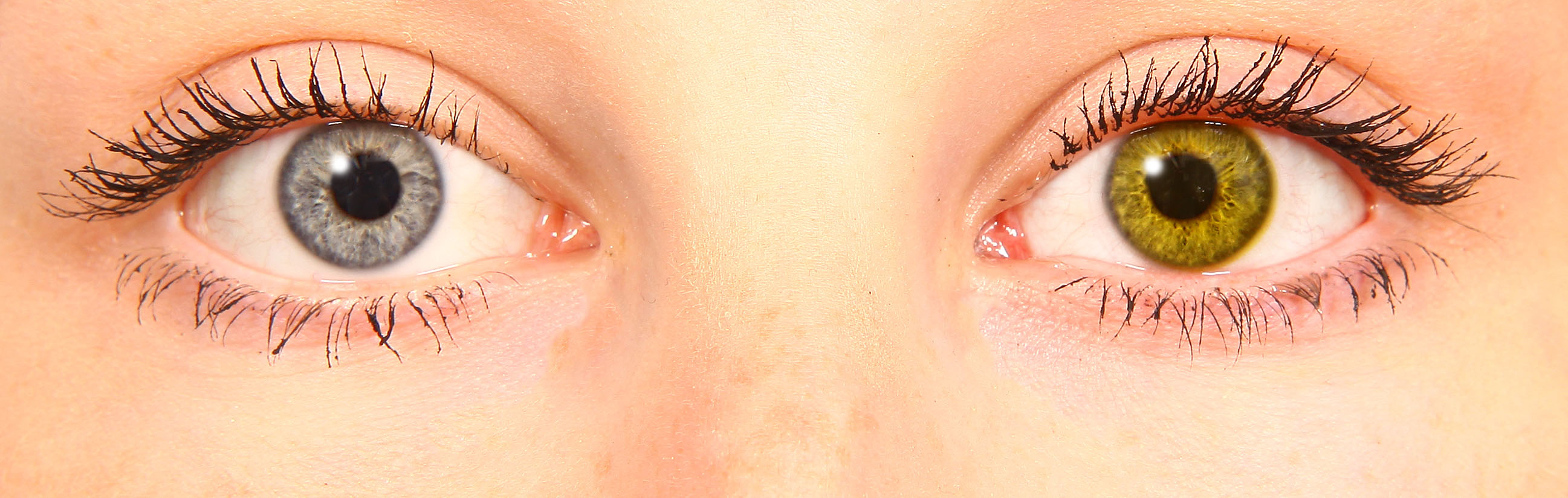 starlens yellow starlens yellow