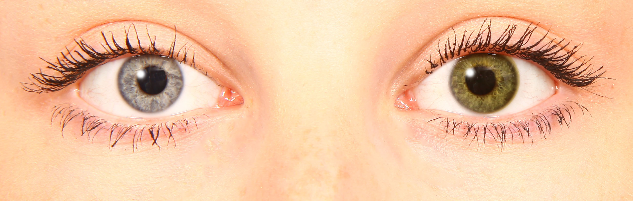 starlens olive starlens olive
